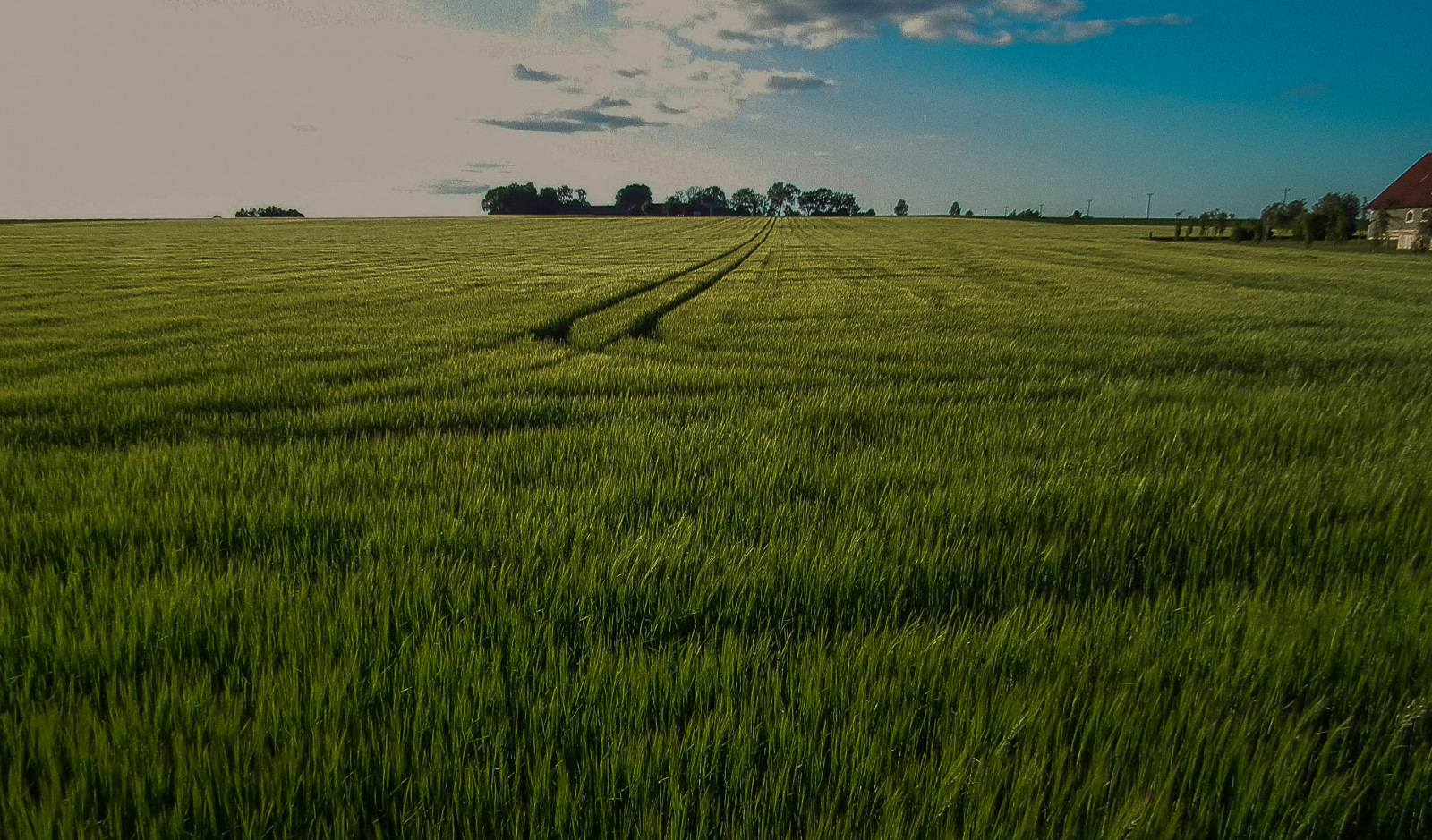 Švédsko, zemědělství, pole, Scania, abbek s