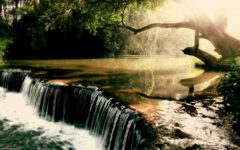 træer, Skov, vandfald, vand, natur, sollys