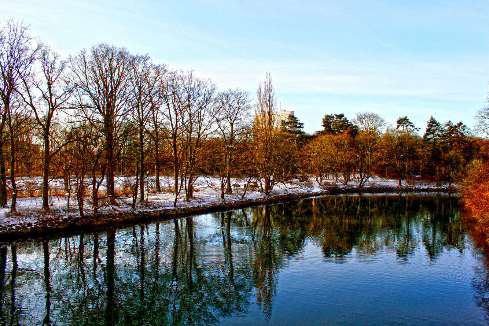 แสงแดด, ต้นไม้, แนวนอน, ป่า, ทะเลสาบ, น้ำ, ธรรมชาติ, การสะท้อน, หญ้า, ท้องฟ้า, จอด, หิมะ, ฤดูหนาว, เช้า, แม่น้ำ, HDR, ถิ่นทุรกันดาร, บ่อน้ำ, สวีเดน, พื้นที่ชุ่มน้ำ, เบา, ต้นไม้, ฤดูใบไม้ร่วง, ใบไม้, ปลูก, ฤดู, มัลโม, slottsparken, kronprinsen, ป่าไม้, ถิ่นที่อยู่, สภาพแวดล้อมทางธรรมชาติ, ไม้ยืนต้น, เนื้อน้ำ