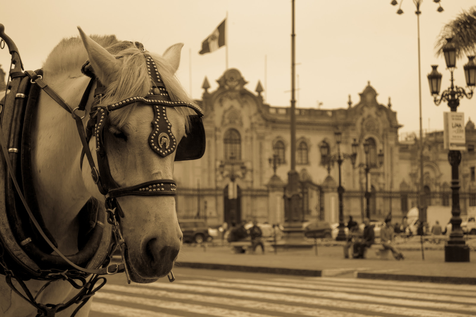 ulice, kůň, vozidlo, socha, vozík, náměstí, lima, streetphotography, streetpassionaward, nikonflickraward, es POTD země, turistická atrakce, Černý a bílý, čenich, kůň jako savci, středověk, caballo, koňské postroje, Sephia, Virreinal, stock photography