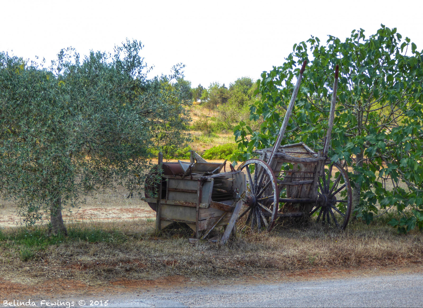 ulice, výlet, modrý, hnědý, Dovolená, zelená, UMĚNÍ, Krásná, krása, listy, venkovský, mimo, venku, venkov, zajímavý, Španělsko, umělecký, bokeh, rozklad, země, španělština, ibiza, letního, jednoduchý, malebný, zájem, farmequipment, olivovník, evissa, staeulalia, creativeartphotography, panasoniclumixdmc, staeularia, pbwa, belindafewings, ibiza2015