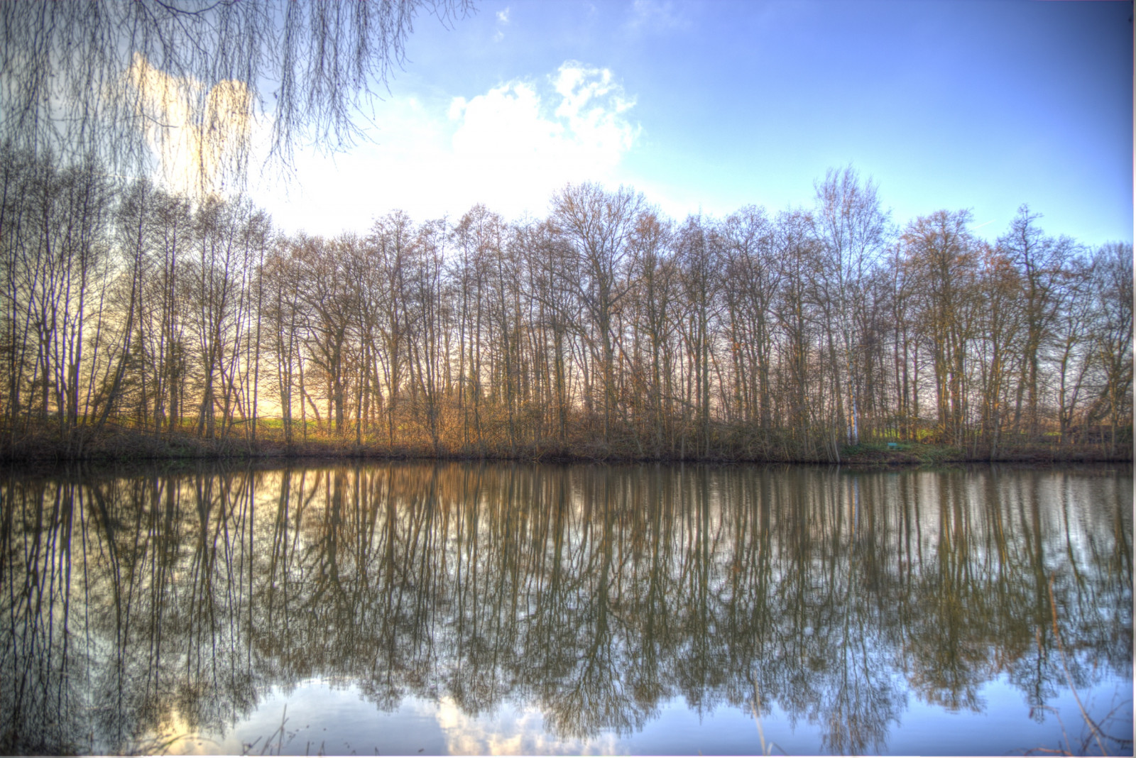 햇빛, 나무, 경치, 숲, 일몰, 호수, 물, 자연, 반사, 하늘, 겨울, 구름, 저녁, 아침, 독일, 계절, 강, 태양, HDR, 맑은, 황야, 못, 습지, 2014, 빛, 아름다운, 나무, 가을, 플리커, 땅거미, 시즌, 색깔, 헤멜, 한 지방, 자연, 독일, 솔레 일, 시엘, 뉘앙스, 재미있는, 대단한, 손자 장터, Wasser, 울음 소리, 아들, 오, 알레그나 뉴, 백합, 포토 매틱스, 루미 에르, 가공, 수목, 휴대용, 바 이유, 총소리, 웨스트 팔렌, 오스트레일리아, 쿠 체실, 삼림지, 솔 팔드, 그로 샤셴, 헬씨, 습지, 서식지, 자연 환 ​​경, 대기 현상, 우디 식물, 생태계, 물줄기