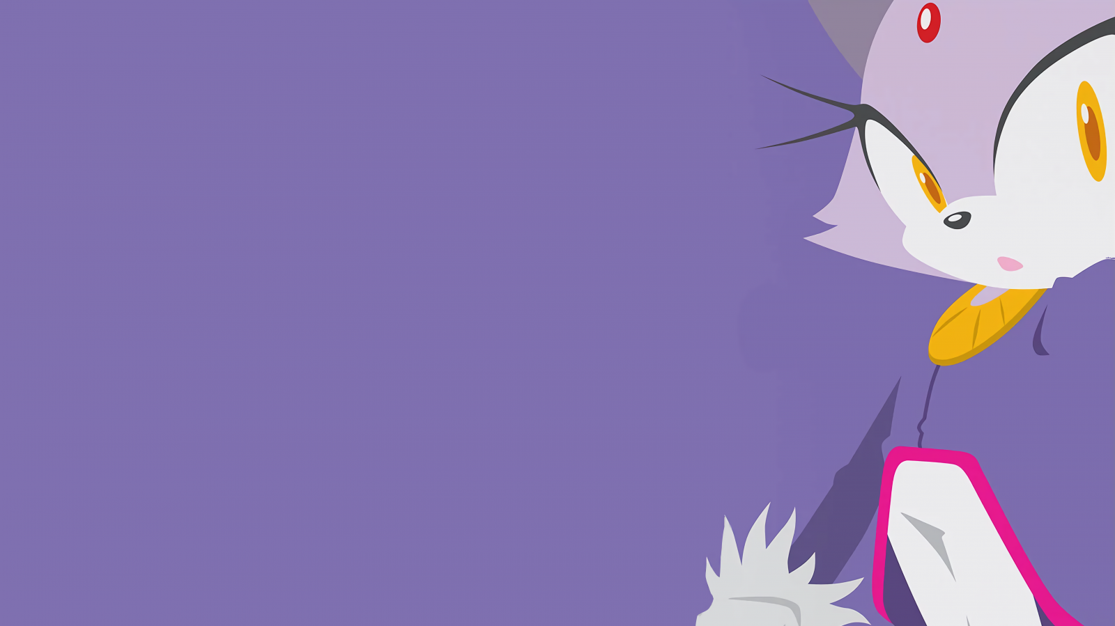 Sonic the Hedgehog, Blaze the Cat, umělecká díla, nachový