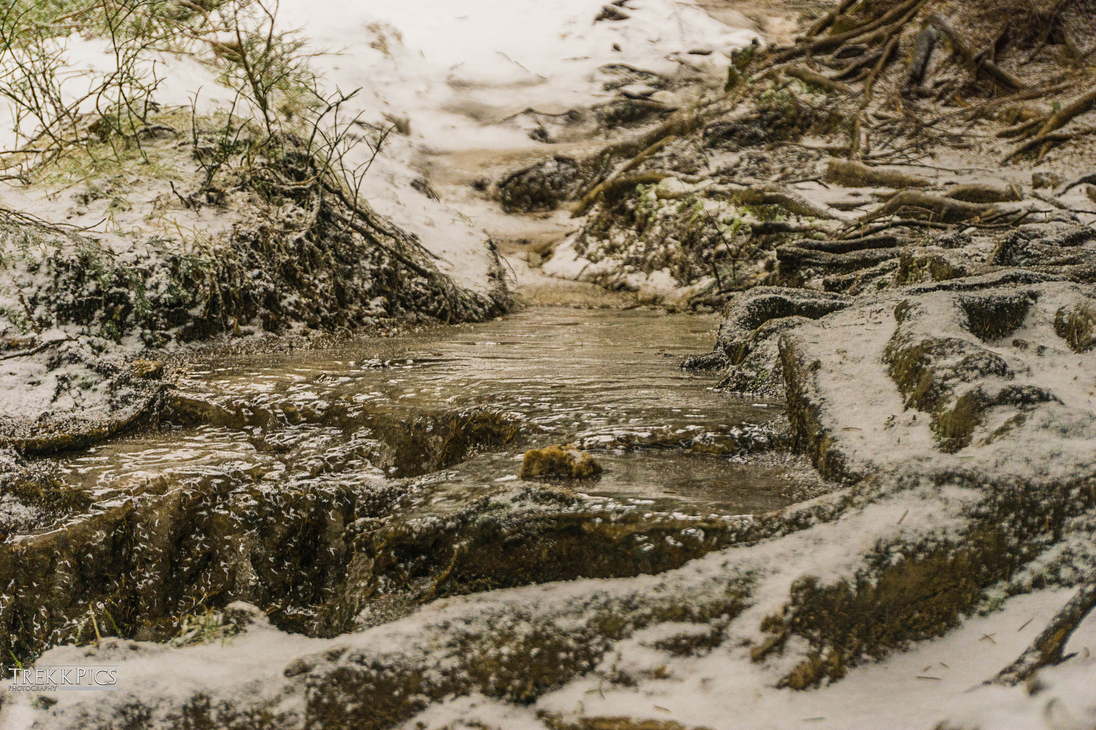sne, vand, vinter, Fryser, strøm, træ, klippe, flod, vandløb, Bank, landskab, bæk, is, græs