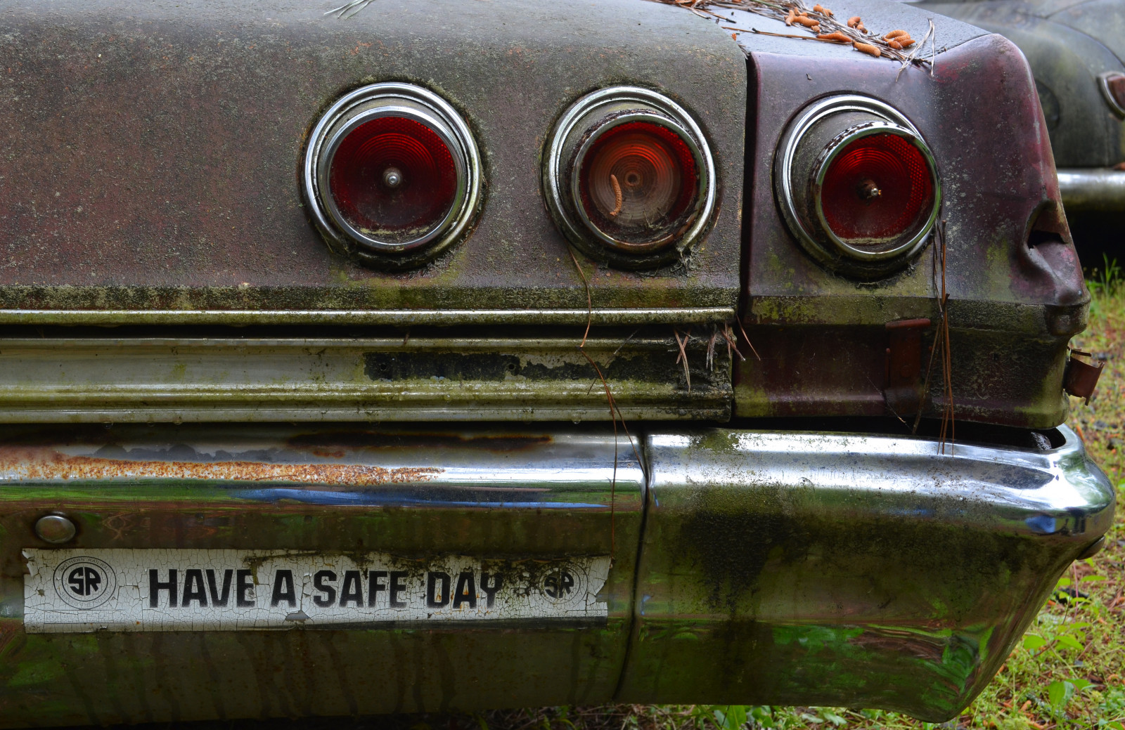 bílý, auto, vozidlo, rez, Nikon, rozklad, Georgia, veteránem, Chevrolet, Chevy, 1965, rezavý, dSLR, auto, automobil, klasický, D5100, ga, automobilového designu, automobilový exteriér, nárazník, kompaktní vůz, motorové vozidlo, oldcarcity, samolepka na auto, vehicle door