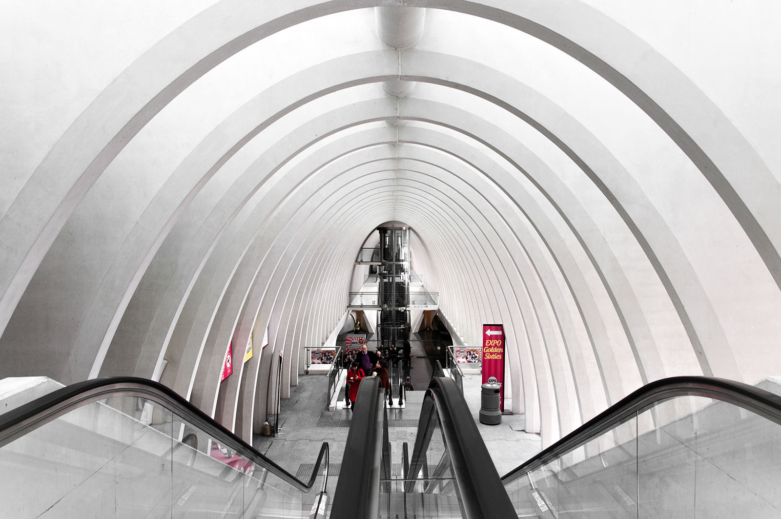 Photoshop, architektura, budova, železnice, symetrie, Nikon, Evropa, oblouk, Belgie, Lightroom, struktura, Europa, úhel, Santiago, NIKKOR, stanice, l ttich, D5000, belgie, Belgique, 1685mm, Černý a bílý, Calatrava, bahnhof, Belgie, li geguillemins, Guillemins, gare