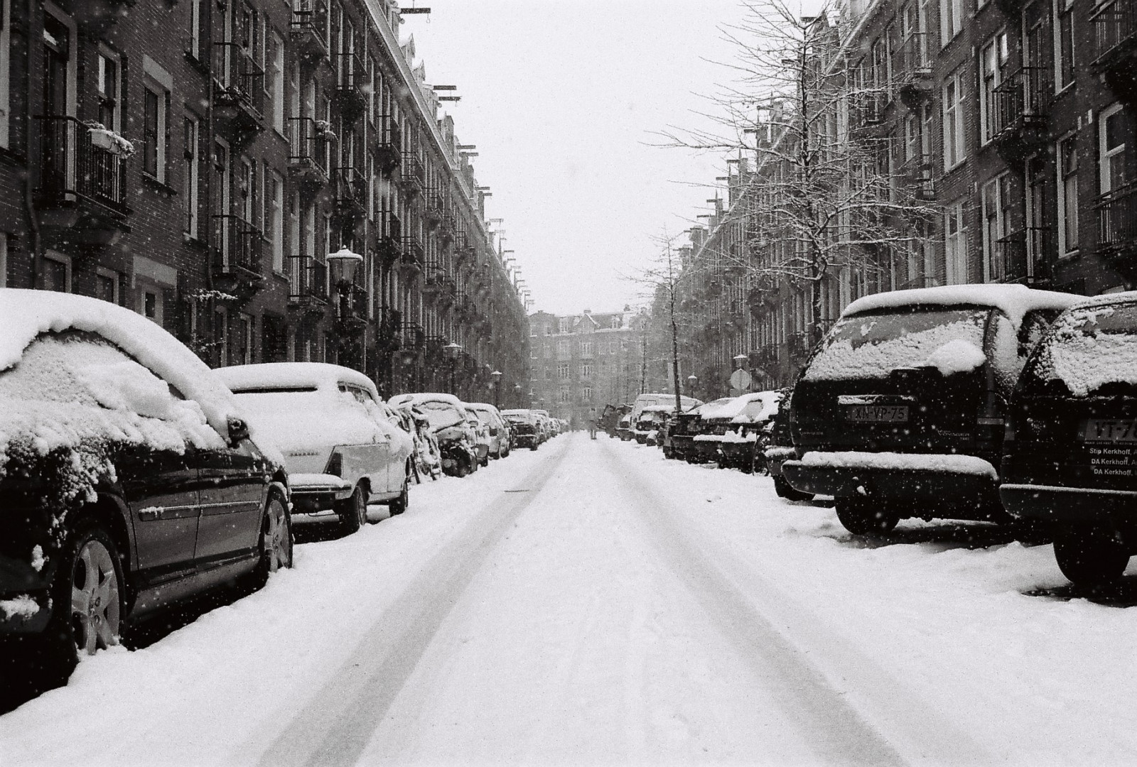 černobílý, ulice, auto, sníh, zima, vozidlo, silnice, provoz, Nikon, Amsterodam, doprava, zmrazení, limuzína, 2005, strom, centrum, film, vánice, předměstí, zwartwit, pruh, F100, urban area, Černý a bílý, monochromatické fotografování, sousedství, obytný prostor, automobilový exteriér, luxusní vůz, rodinný vůz, kompaktní vůz, motorové vozidlo, druh dopravy, zimní bouře, výkonné auto, městské auto, střední velikost auta, déšť a sníh mísí, sneeuw, zuid, srážky, Veerstraat