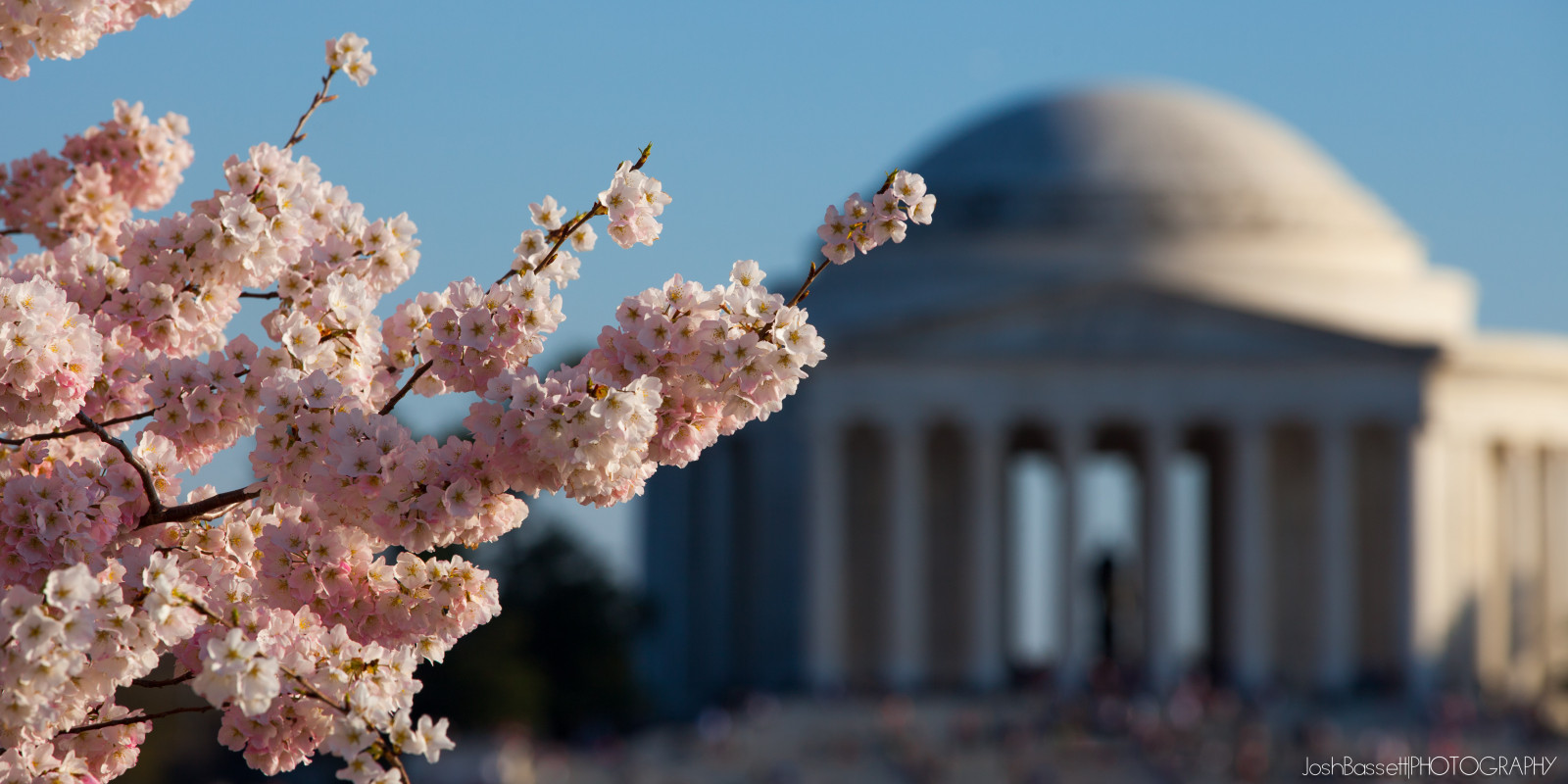 blomst, blomst, forår, cherry blossom, himmel, plante, afdeling, træ, Kvist