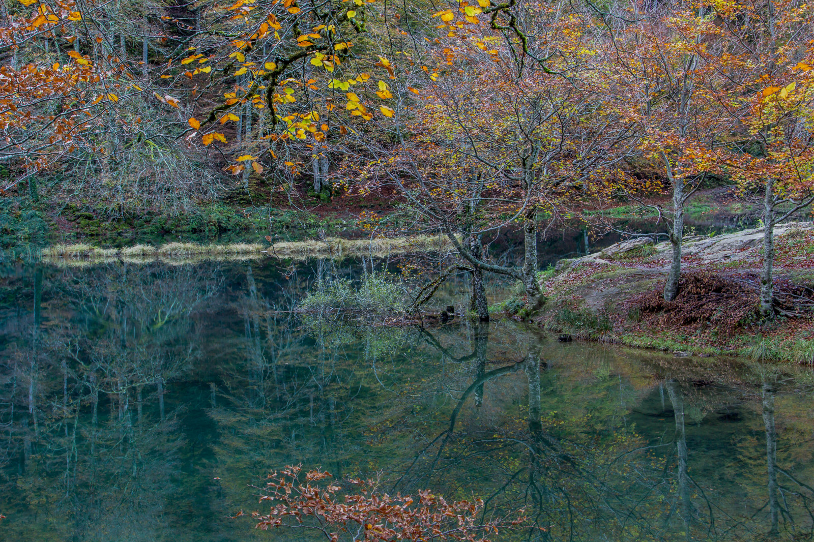 แนวนอน, ป่า, ทะเลสาบ, น้ำ, ธรรมชาติ, การสะท้อน, หญ้า, สาขา, แม่น้ำ, Canon, บ่อน้ำ, กระแส, ธนาคาร, ปลัก, การจ่ายเงิน, ธรรมชาติสำรอง, Pyre, พื้นที่ชุ่มน้ำ, ต้นไม้, ฤดูใบไม้ร่วง, พ.ศ. 24105, ใบไม้, ปลูก, สายน้ำ, พืชพันธุ์, ลำห้วย, automne, lac, จ่ายเงิน, อ่างเก็บน้ำ, canoneos, 60d, ก, ป่าไม้, ระบบนิเวศ, Biome, ป่ากว้างและป่าผสมผสาน, ผลัดใบ, บึง, ป่าโกงกาง, รัฐปาร์ค, ที่ราบลุ่ม, Pyrenees, Ariege, bethmale, couserans, plant community, riparian zone, fluvial landforms of streams