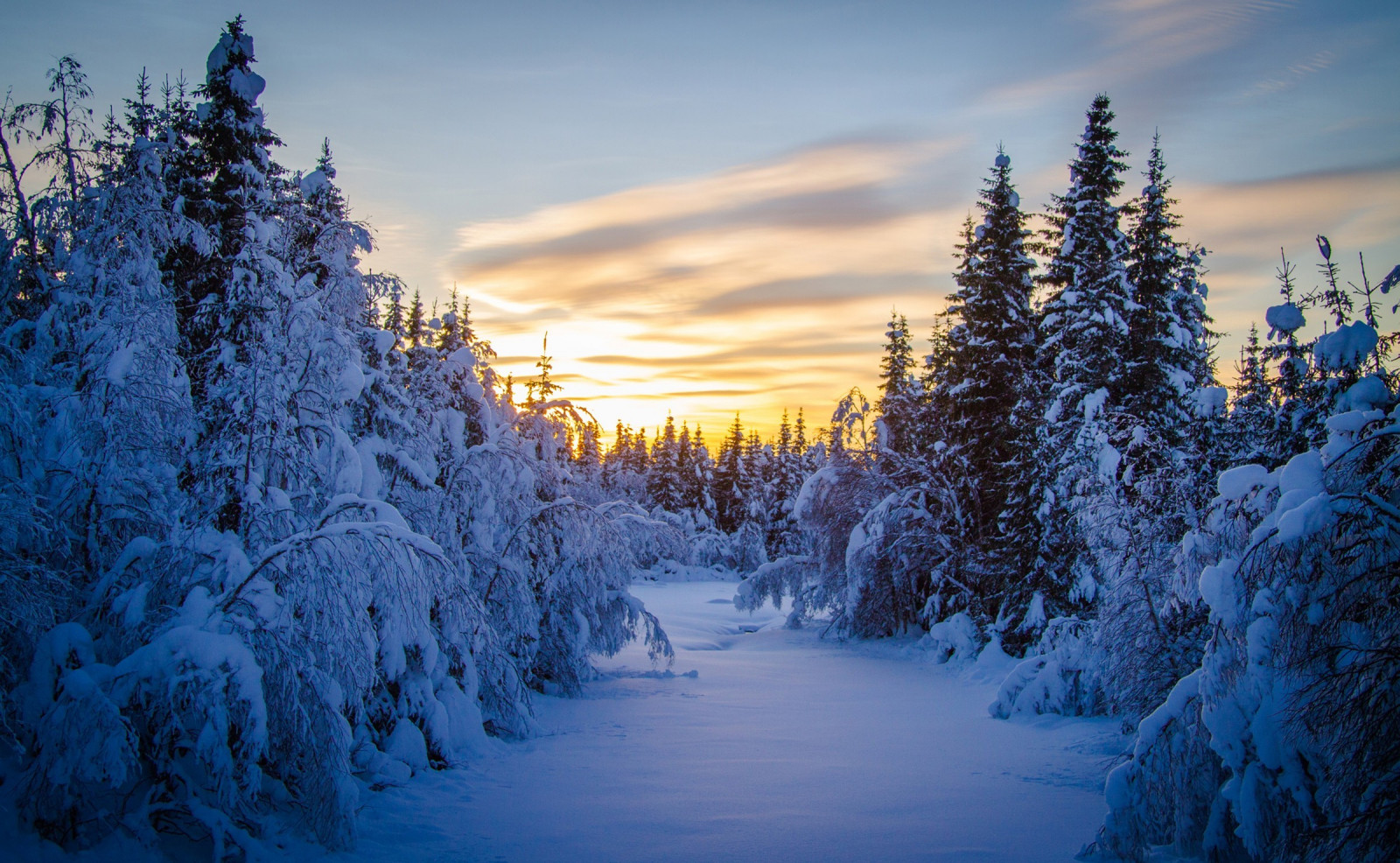 lumière du soleil, des arbres, paysage, la nature, neige, hiver, la glace, soir, Matin, saisons, gel, région sauvage, Gel, arbre, Montagne, Météo, saison, Plante boisée, chaîne de montagnes, 2400x1480 px
