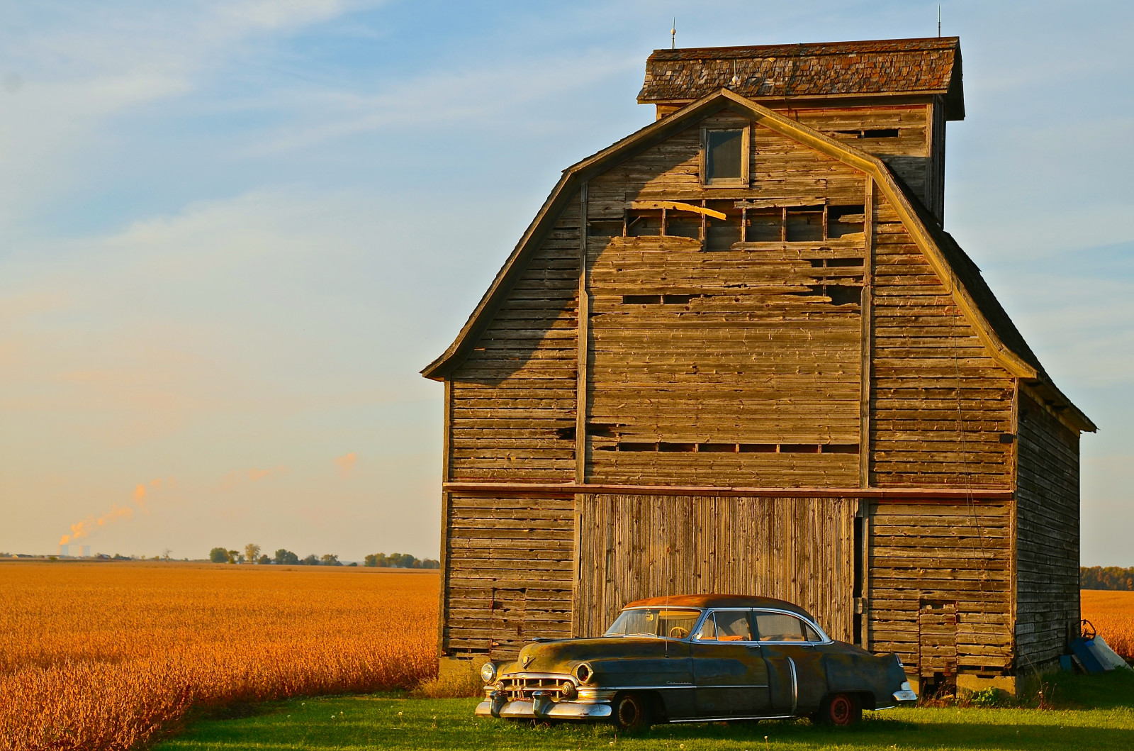 efterår, gammel, bil, bygning, køretøj, Mark, gård, rust, lade, oktober, mølle, Illinois, majs, Cadillac, Rochelle, gylden, goldenhour, il, landbrug, klassisk, 1950, oldcar, prærie, landdistrikt, forvitret, lincolnhighway, oldvehicle, oglecounty, 1950cadillac, torcwori, 1950cadillacseries62, 1950cadillacseries62sedan4doorhardtop, byronplant