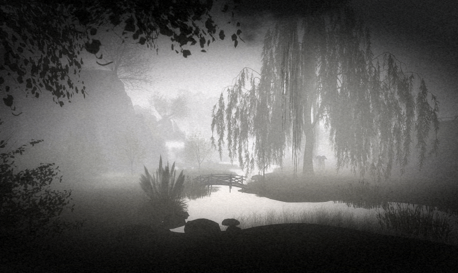 slunečnímu záření, les, černobílý, portrét, noc, Příroda, umělecká díla, ráno, mlha, měsíční svit, atmosféra, život, UMĚNÍ, světlo, tajemný, strom, mlha, cestovat, počasí, příběh, fotografie, tma, průvodce, SL, dobrodružství, místo, druhý život, pic, druhý, foto, artphotography, atmosférický jev, Černý a bílý, monochromatické fotografování, wuwaichun