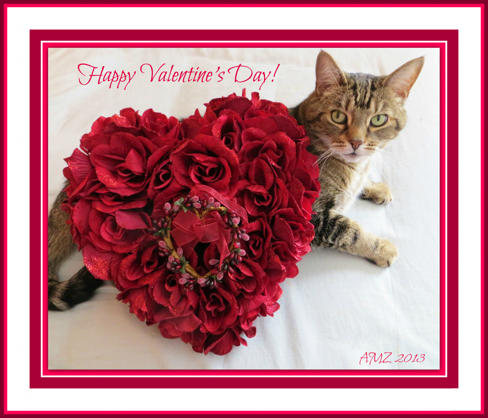 Gül, Parti, Aşk, güzel, Özveri, gül, kedi, eğlence, kürklü, Dof, tatlı, kuyruk, Öpücükler, Çikolatalar, romantik, kutlama, Dolce, Arzu etmek, Baci, Bebeğim, Sarılmak, Fiori, Hassasiyet, Kucaklar, Düşünce, Sevgililer Günü, Buonsanvalentino