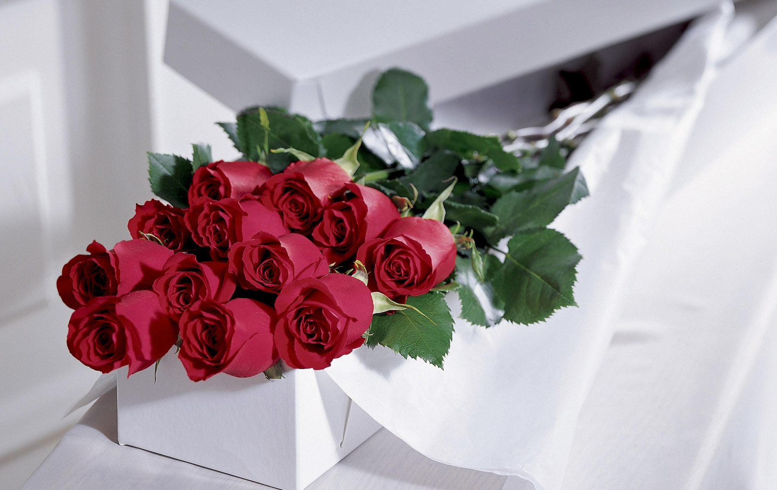 Wallpaper roses, flowers, bouquet, elegant, box 2710x1710