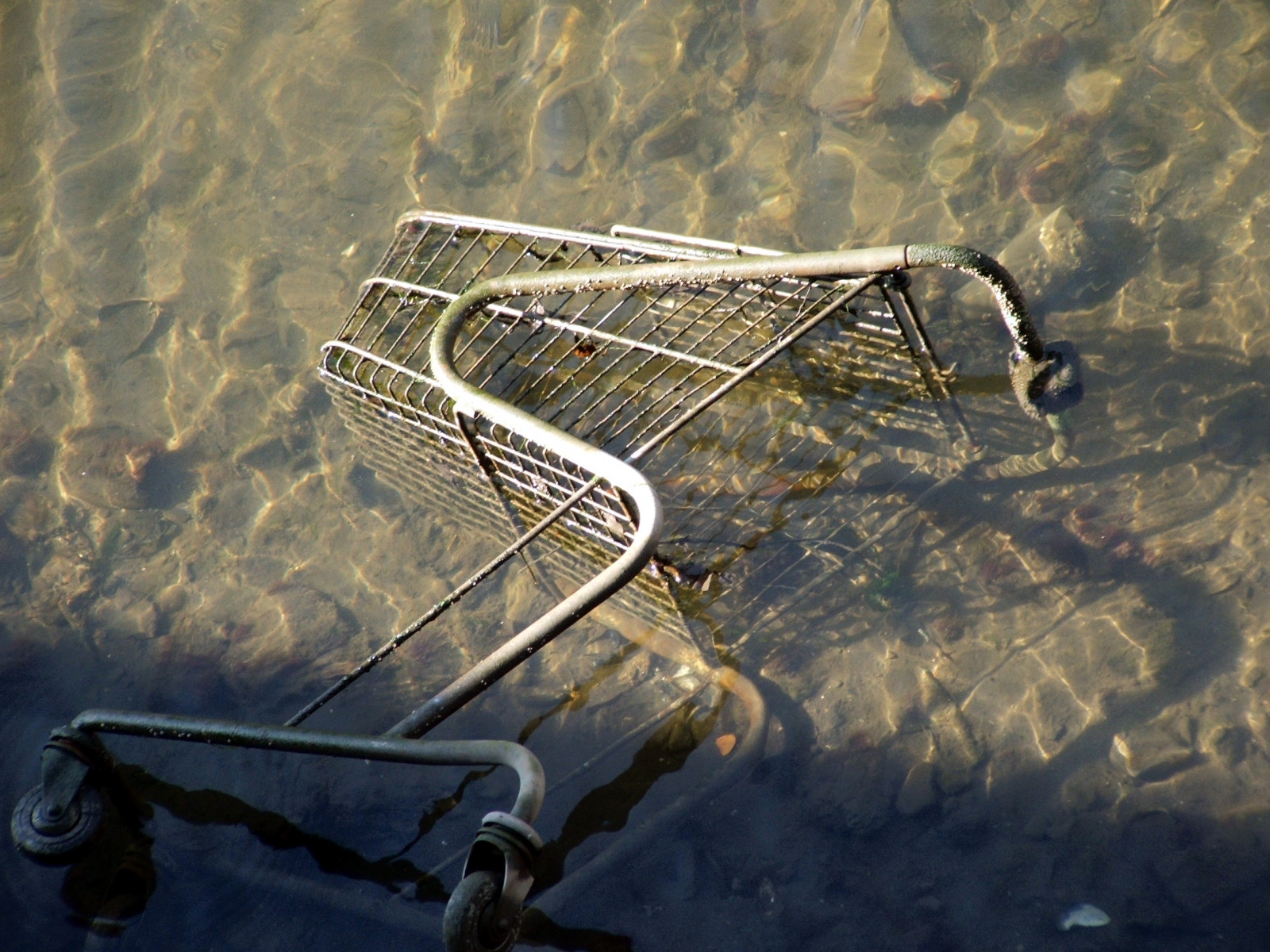 město, stín, peníze, mokrý, voda, Rio, odpadky, odrazy, nakupování, temný, fotografování, licht, sleva, Společenství, eau, wasser, pankáč, Napájení, rozklad, trolejbus, fiume, ngc, rezavý, vývoj, poetický, supermarket, karetní hra, vnitřní, iluze, revoluce, odpadky, vandalství, Koupit, romantický, Innercity, odpad, vrak, acqua, mercato, ekonomika, Schatten, štika, ukrást, vyklestit zvíře, kupující, Sociální péče, zákazník, Denaro, Demolice, Spesa, Freegan, Moneyball, soldi, Inquinamento, Nepolítá, Disagio, Civilt, decadenza, Carello, Teppismo, Declino, Flugen, Bornbuydie, Carellodellaspesa