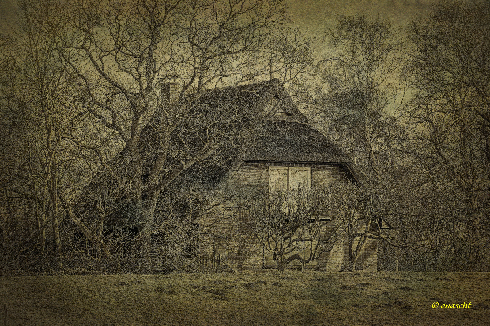 les, Příroda, stěna, dřevo, textura, 2015, strom, podzim, Landschaft, deutschland, tma, nikond5200, haus, meer, zálesí, Nordsee, Niedersachsen, venkov, místo výskytu, přírodní prostředí, atmosférický jev, dávná historie, dřevina, watt, Wattenmeer, Schlick, Dangast, Varel