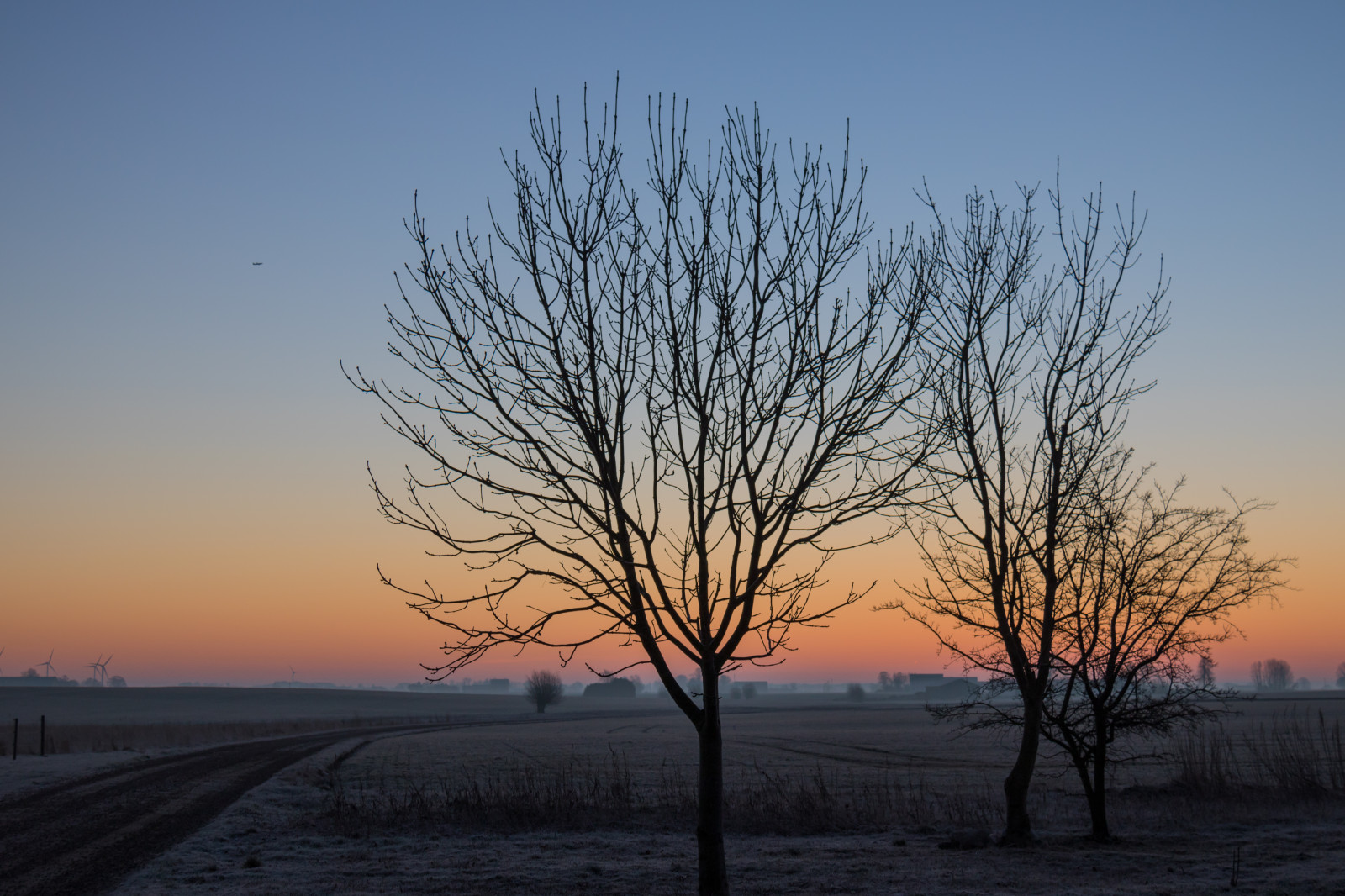 แสงแดด, แนวนอน, พระอาทิตย์ตก, ธรรมชาติ, ท้องฟ้า, หิมะ, ฤดูหนาว, ฟิลด์, สาขา, พระอาทิตย์ขึ้น, ตอนเย็น, เช้า, น้ำค้างแข็ง, ดวงอาทิตย์, ขอบฟ้า, พลบค่ำ, โซล, เมฆ, ต้นไม้, สภาพอากาศ, รุ่งอรุณ, ปลูก, ฤดู, himmel, ชนบท, landsbygd, soluppg ng, landskap, morgon, ที่ราบ, ทุ่งหญ้า, สภาพแวดล้อมทางธรรมชาติ, ปรากฏการณ์บรรยากาศ, ไม้ยืนต้น