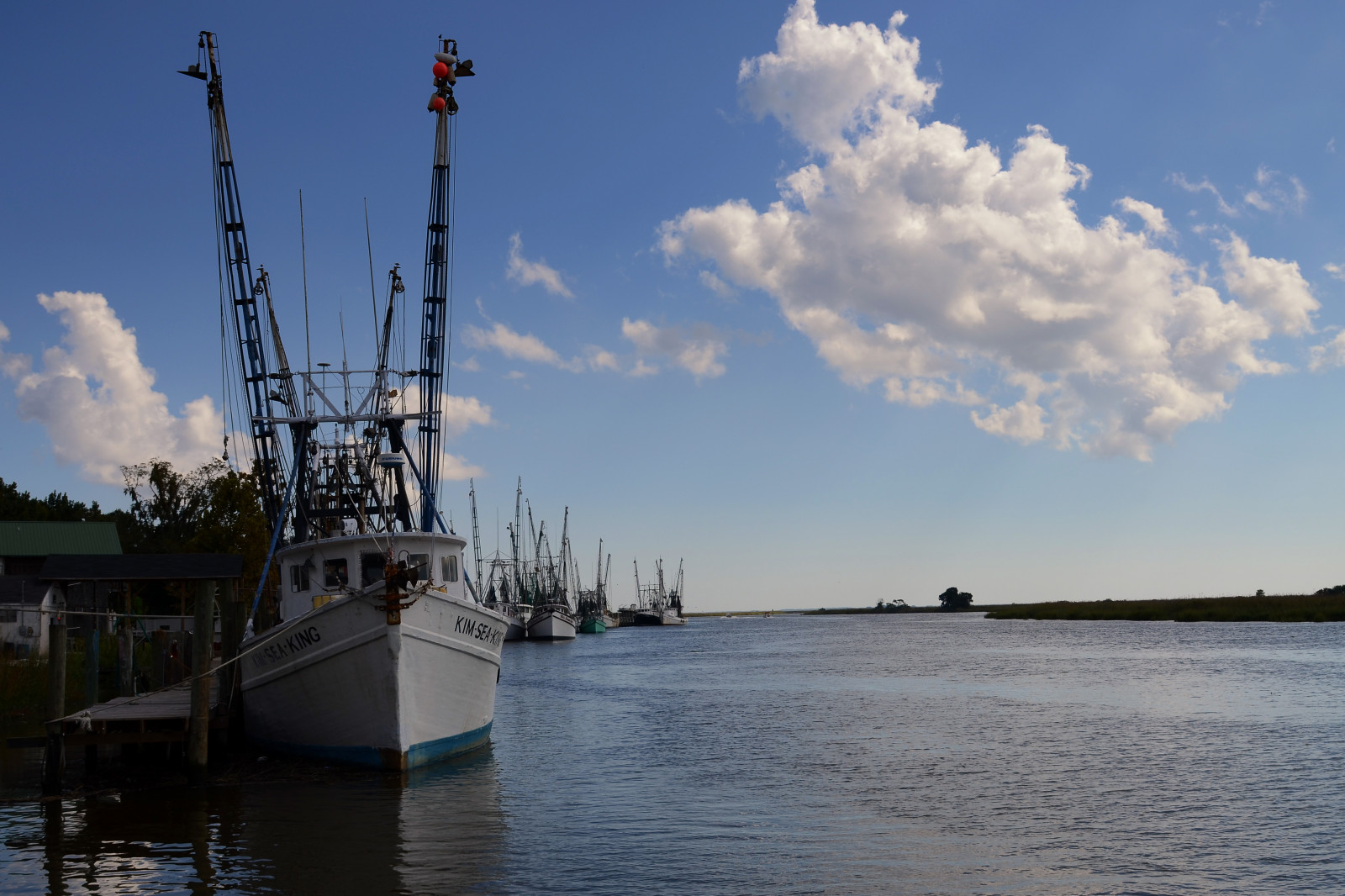 landskab, skib, båd, hav, Bugt, vand, himmel, udendørs, berolige, blå, aften, kyst, flod, havn, USA, Solrig, dok, Georgien, arbejde, fiskeri, lav, flåde, Atlantic, Land, Sky, træ, dag, ocean, marine, både, havn, os, kanal, syd-, produktion, bayou, kystnære, vandveje, meteorologisk fænomen, fiskerfartøj, fartøjer, docket, Brunswick, wouth, olgethorpe
