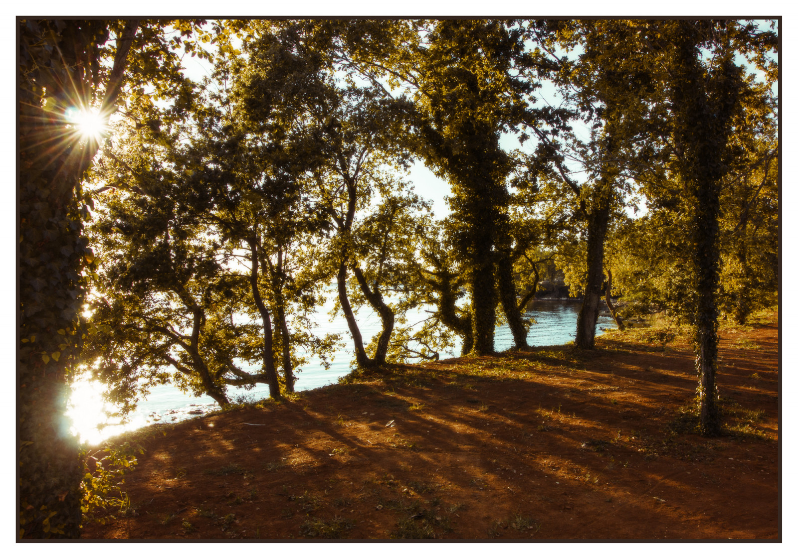 západ slunce, sonnenuntergang, b UME, stromy, meer, moře, gegenlicht, podsvícení, Nikon, večer, Landschaft, Příroda, Chorvatsko, licht, nikond7000, D7000, natur, kroatien, baum, krajina, světlo, abend