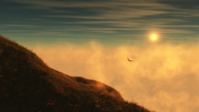 colline, la nature, lumière du soleil, des oiseaux, le coucher du soleil, herbe colline, la nature, lumière du soleil, des oiseaux, le coucher du soleil, herbe