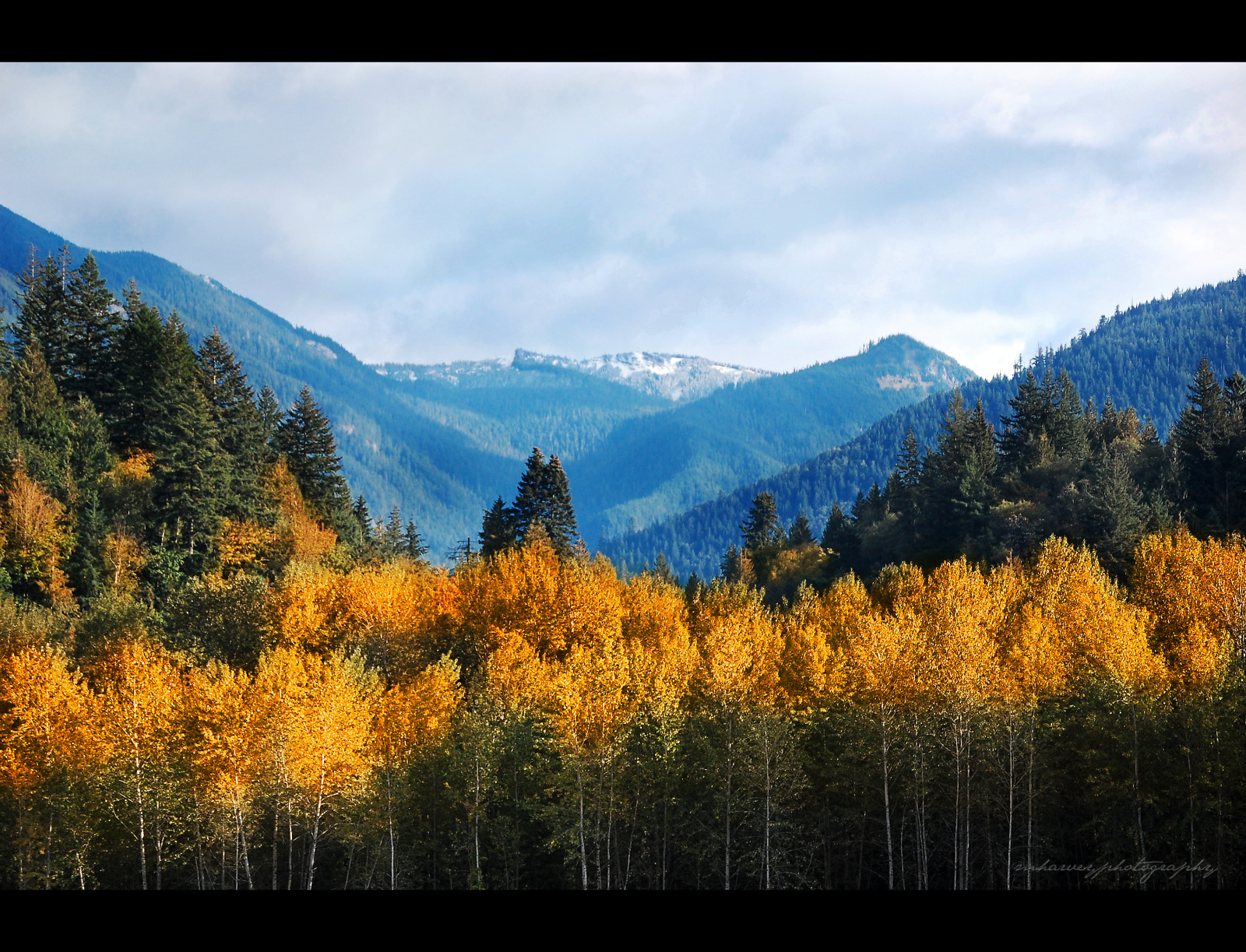 stromy, krajina, les, hory, Příroda, odraz, zelená, žlutý, modrý, ráno, oranžový, Kanada, údolí, divočina, Neděle, hřbet, mrak, strom, podzim, list, hora, rostlina, sezóna, louka, automne, dech beroucí, rubyphotographer, sailsevenseas, damniwishidtakenthat, nikond40, dragondaggerphoto, bluejay2006, mharveyphotography, coth, beautifulbritishcolumbia, yourwonderland, fallcolors, flickrvault, selectbestfavorites, Worldbest, newgoldenseal, atmosférický jev, dřevina, horských reliéf, geografický rys, ekosystém, pohoří, modřín, slunečný den, coppercloudsilvernsun, u řeky, thegoldengallery, dechberoucí výhled, chilliwackbc