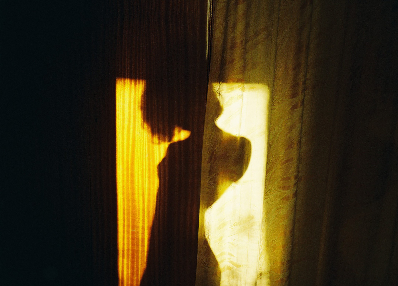 Sonnenlicht, Sonnenuntergang, Nacht-, Betrachtung, Schatten, Fotografie, Holz, Gelb, Feuer, Fotograf, allein, Haar, Sommer-, Korn, Jahrgang, Sonnig, Ukraine, 35MM, Kodak, Olymp, Schießen, Kiew, Kiew, Licht, Farbe, innere, golden, nackt, Mädchen, Zahl, natürlich, Frau, goldene Stunde, Beleuchtung, Drinnen, Analoge, Selfie, Film, analog, Flamme, Dunkelheit, Sowjetischen, Körper, Leben, erotisch, Selbstporträt, Lomo, Kurven, Kodakgold, Ishootfilm, Intim, 35mmphotographie, kurzes Haar, Mju2, Filmfoto, Olympusmju2, Kanshyna, Zine, Nurfilm, Ilovefilm, Filmaufnahme