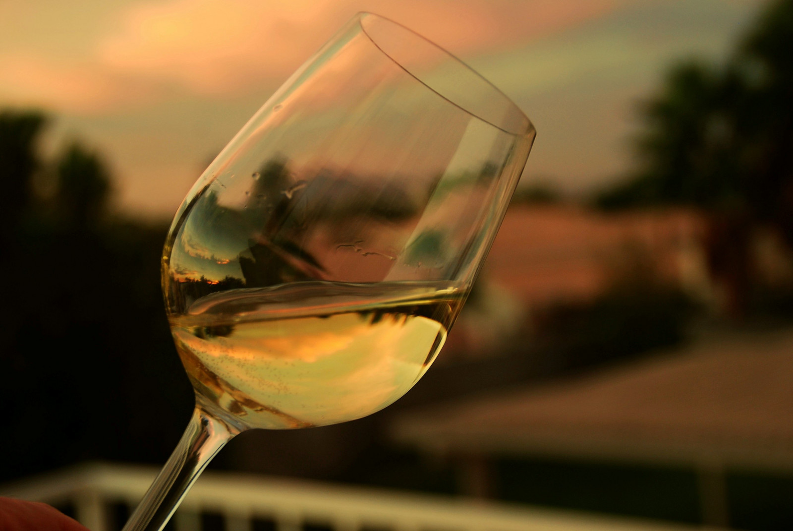 odrazy, víno, odlesky, Dědictví, chardonnay, Cocktailhour, digitalcameraclub, Obrazové známky, skyascanvas, hairygitselite, trolledproud