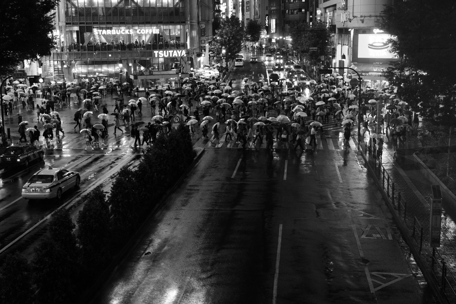 Giappone, bianca, nero, monocromo, strada, notte, pioggia, strada, fotografia, Leica, Tokyo, infrastruttura, Jp, bw, fotografia, oscurità, folla, Summilux, leicaq, summilux1728, q, 1728, area urbana, bianco e nero, fotografia in bianco e nero, film noir