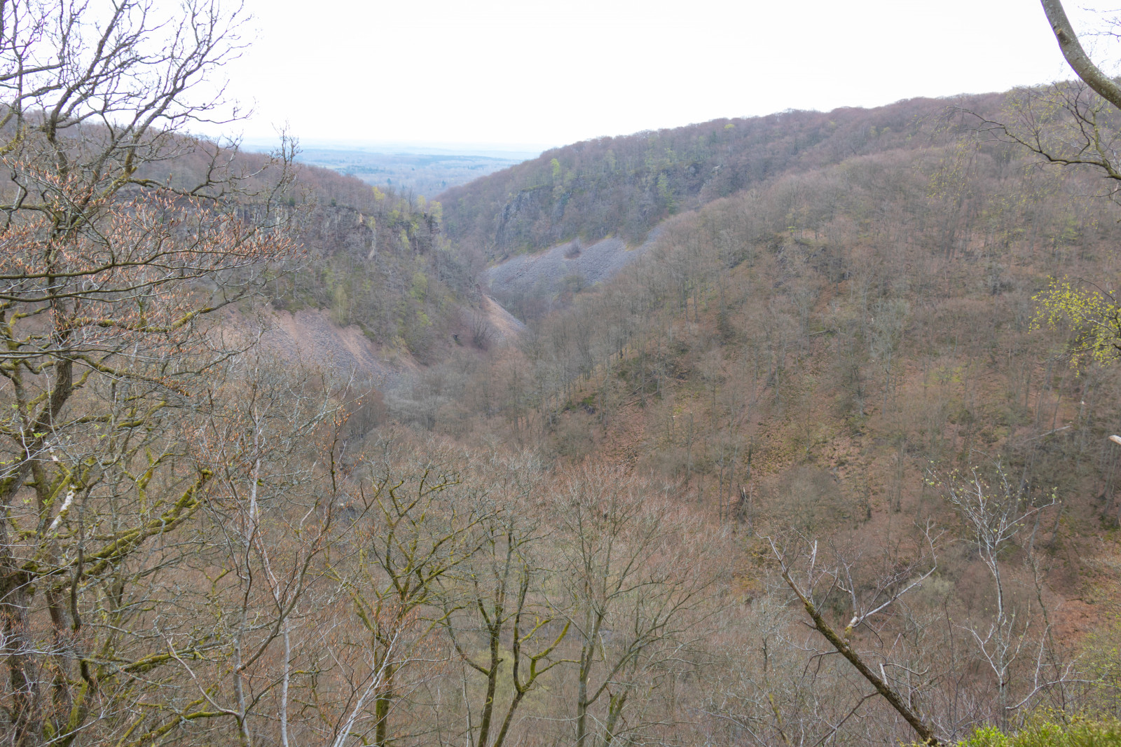 Wallpaper forest, valley, mountain pass, wilderness, plateau, ridge, Terrain, woods, skog