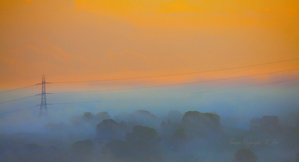 Sonnenlicht, Bäume, Landschaft, Sonnenuntergang, Natur, Himmel, Sonnenaufgang, Abend, Morgen, Nebel, Sonne, Horizont, Atmosphäre, Dämmerung, Dunst, Wolke, Nebel, Dämmerung, Pylonen, Atmosphärisches Phänomen, Nachglühen, Roter himmel am morgen, Meteorologisches Phänomen, Eos50d, Nondesigner, Nd59, Copyrightmmee