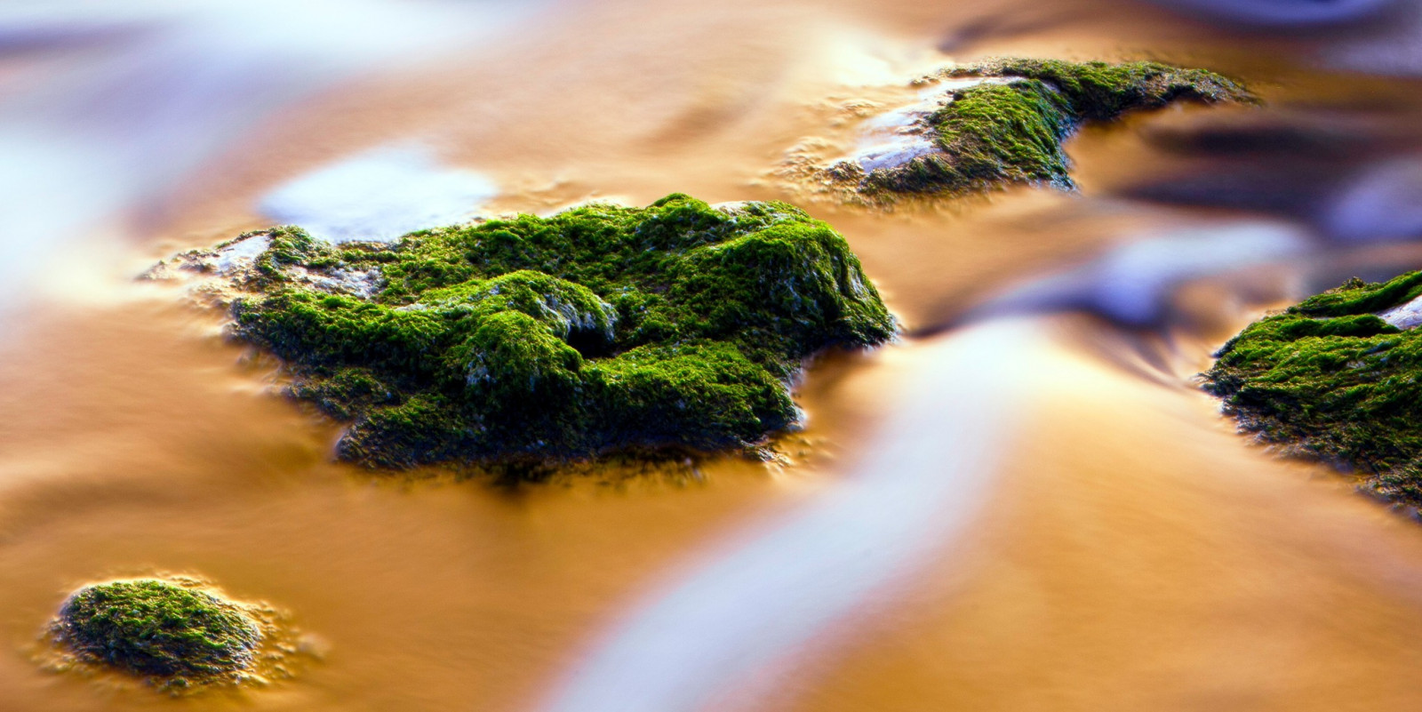 2048x1026 px, Cast de cromo, musgo, naturaleza, fotografía, rock, agua
