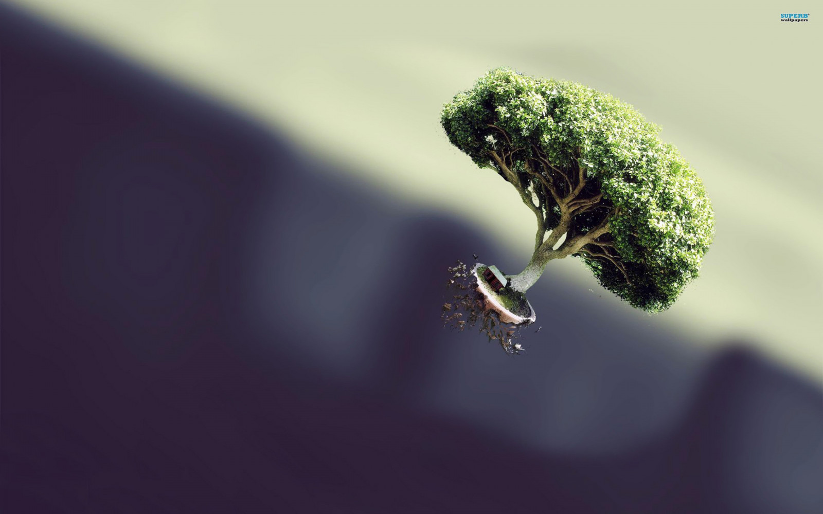 Ağaçlar, dijital sanat, doğa, Fotoğraf, Şube, böcek, yeşil, Yaprak, çiçek, bitki, bitki örtüsü, fauna, Bilgisayarın duvar kağıdı, kapatmak, Makro fotoğrafçılığı, omurgasız