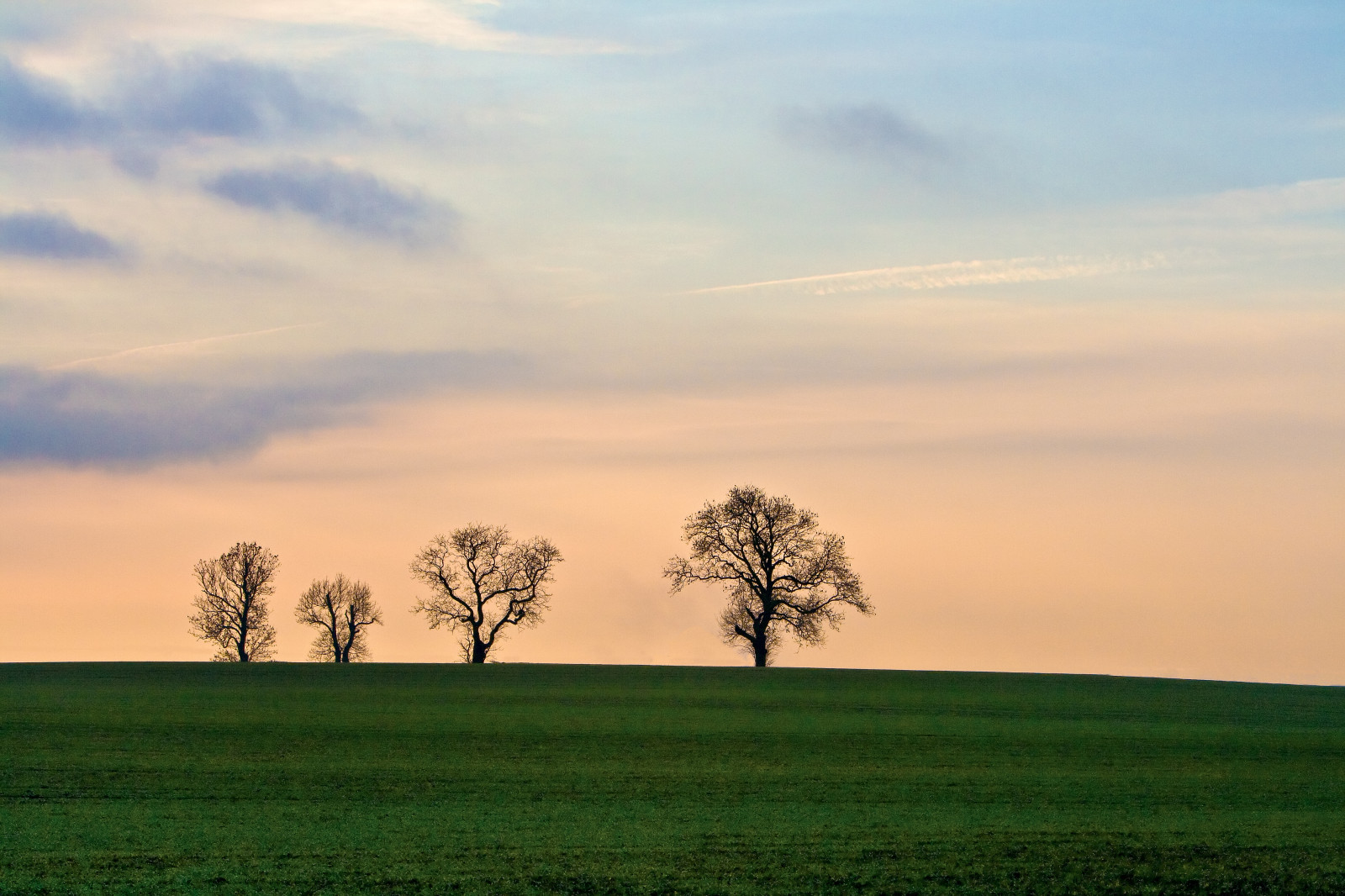 slunečnímu záření, krajina, západ slunce, kopec, Příroda, tráva, nebe, zima, pole, svítání, zelená, večer, ráno, horizont, soumrak, Yorkshire, Severní, mrak, strom, svítání, lučina, skvělý, rostlina, zemědělství, louka, prostý, prérie, novavitanewlife, venkov, přírodní prostředí, atmosférický jev, dřevina, tráva rodina, savana, sillouette, Ayton