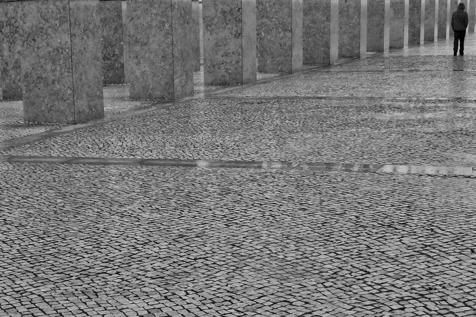 černobílý, 500px, ulice, voda, dlažební kamen, tráva, stěna, textura, Lisabon, chůze, asfalt, Portugalsko, beton, strom, flickr, Černá bílá, muž, patro, podlaha, dno, čára, streetphotography, upřímný, streetphotographer, chodník, x10, fujifilmx10, Černý a bílý, monochromatické fotografování, podlaha, povrch vozovky, fernandopc