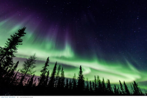 デスクトップ壁紙 風景 夜 自然 時計 空 冬 落ち着いた 霜 雰囲気 カナダ 北極 オーロラ 平和 見る 探検する 興味深い Naturesfinest 再生回数 地質学的現象 素子 Nt 北西部 クリアスキー 最初の場所 Iceroadtrucking ファンダビドージー デスクトップ壁紙 風景 夜 自然 時計 空 冬 落ち着いた 霜 雰囲気 カナダ 北極 オーロラ 平和 見る 探検する 興味深い Naturesfinest 再生回数 地質学的現象 素子 Nt 北西部 クリアスキー 最初の場所 Iceroadtrucking ファンダビドージー