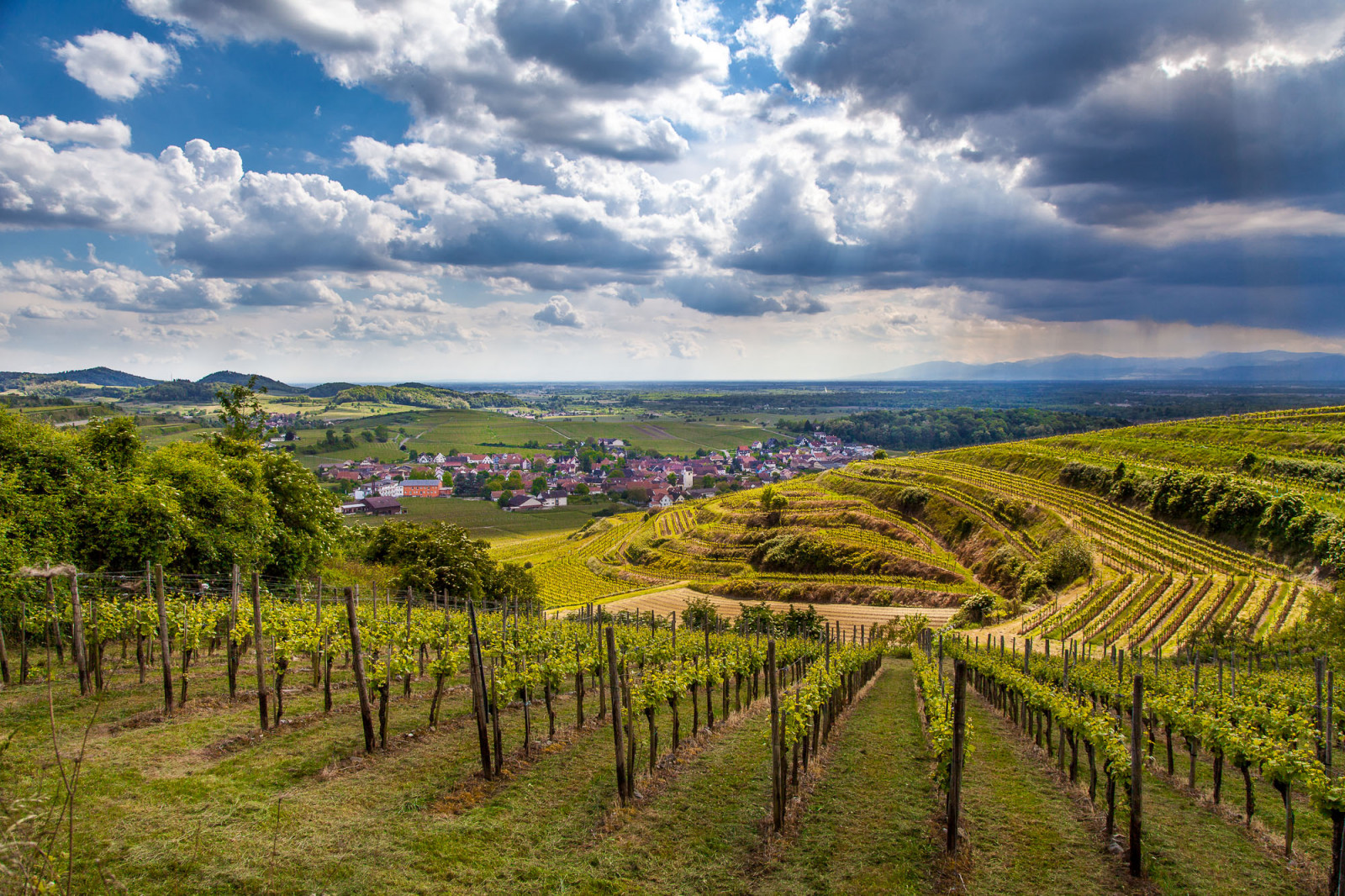 nube, controluce, Germania, paesaggio, deutschland, vigneto, primavera, vino, wolken, Landschaft, Vosges, Kaiserstuhl, fruhling, Weinberg, gegenlicht, Bischoffingen, Vogtsburg, Weinbau, Oberrotweil, 5dmarkii, Oberrheinebene, vogtsburgimkaiserstuhl, Ef24105f40lis