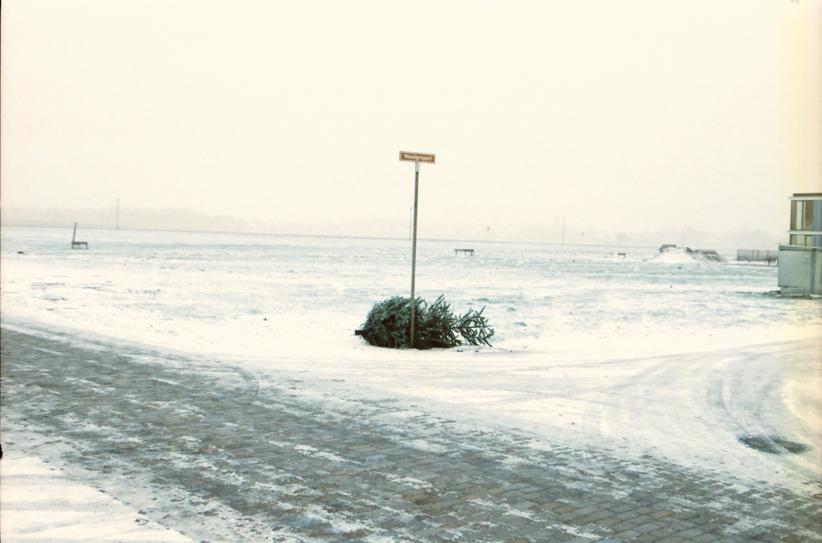 Pentaxmz50, pentax, 35MM, analogový, film, filmphotography, Lomochrom, Lomochrometurquoise, předměstí, photographersontumblr, newtopographics, urbanlandscape, Denhout