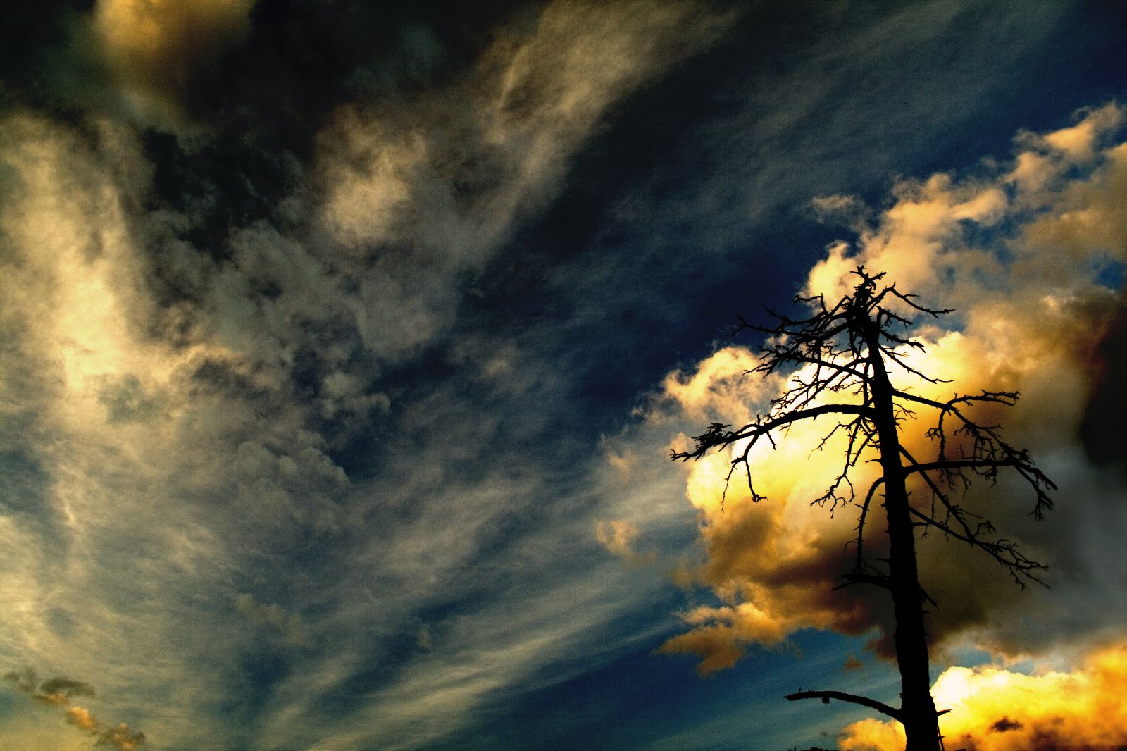 slunečnímu záření, krajina, temný, západ slunce, Příroda, nebe, větev, uklidnit, žlutý, večer, ráno, slunce, atmosféra, kostra, soumrak, podsvícení, slunce, suchý, mrak, strom, zakalený, list, svítání, pozdě, cielo, mraky, atardecer, contraluz, arbol, dostat, tma, Ó, anawesomeshot, mywinners, růst, během dne, Jiskra, oscuridad, bát, vy, příchod, Ramas, počítač tapeta, Atmosféra Země, odlesk, meteorologický jev, kupa, jev, sbohem, esqueleto, seco, anochecer, destello, blíží, Xava, Xvfp, Adios, Buaaaaa, Safarilplarepu, Tusfotosmedanmelankoliapuranen, stock photography