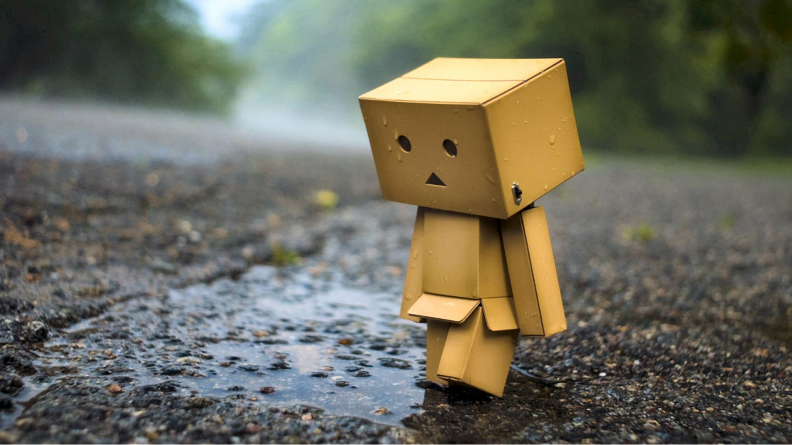 Danbo Fall Wallpaper : wood, green, yellow, Toy, Danbo, autumn 1920x1080 ...