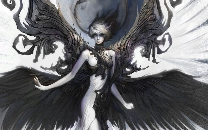 výkres, ilustrace, fantasy umění, anime, mytologie, křídlo výkres, ilustrace, fantasy umění, anime, mytologie, křídlo