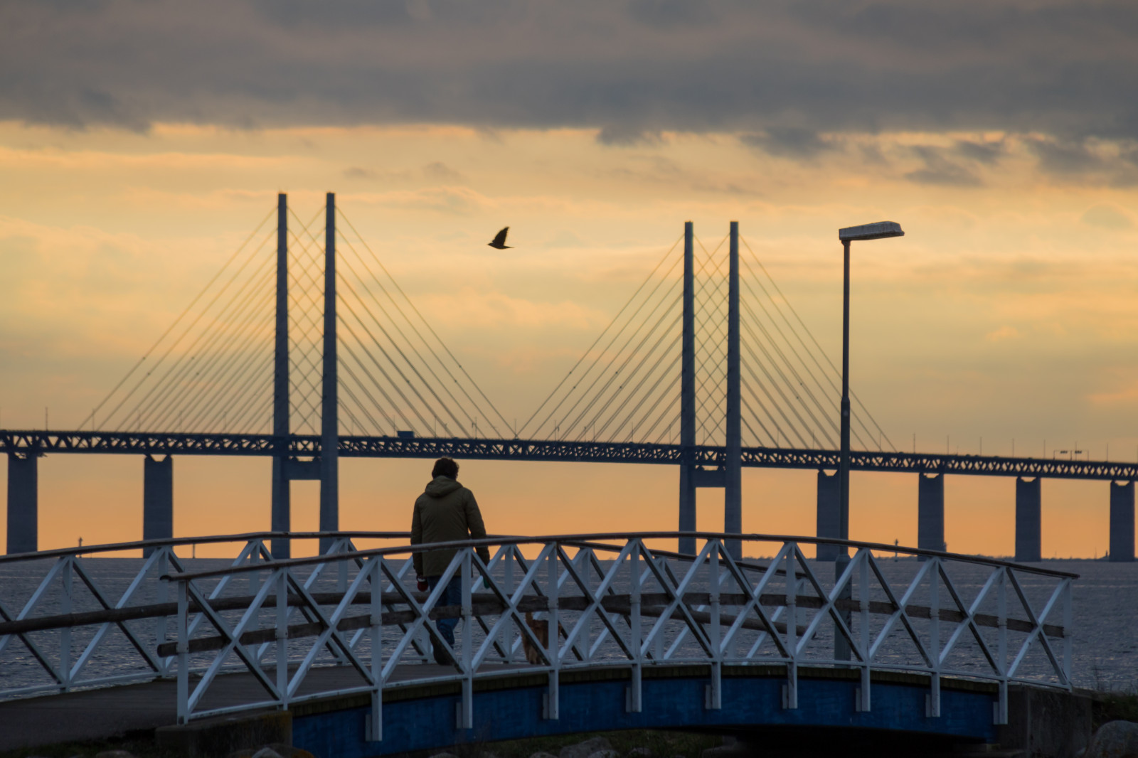 západ slunce, moře, panoráma města, voda, odraz, nebe, panoráma, večer, ráno, most, horizont, molo, soumrak, Bro, svítání, solnedg ng, vatten, hav, Malmo, Limhamn, limhamnssm b tshamn, mezník, nonbuilding struktura, kabel vydržel most