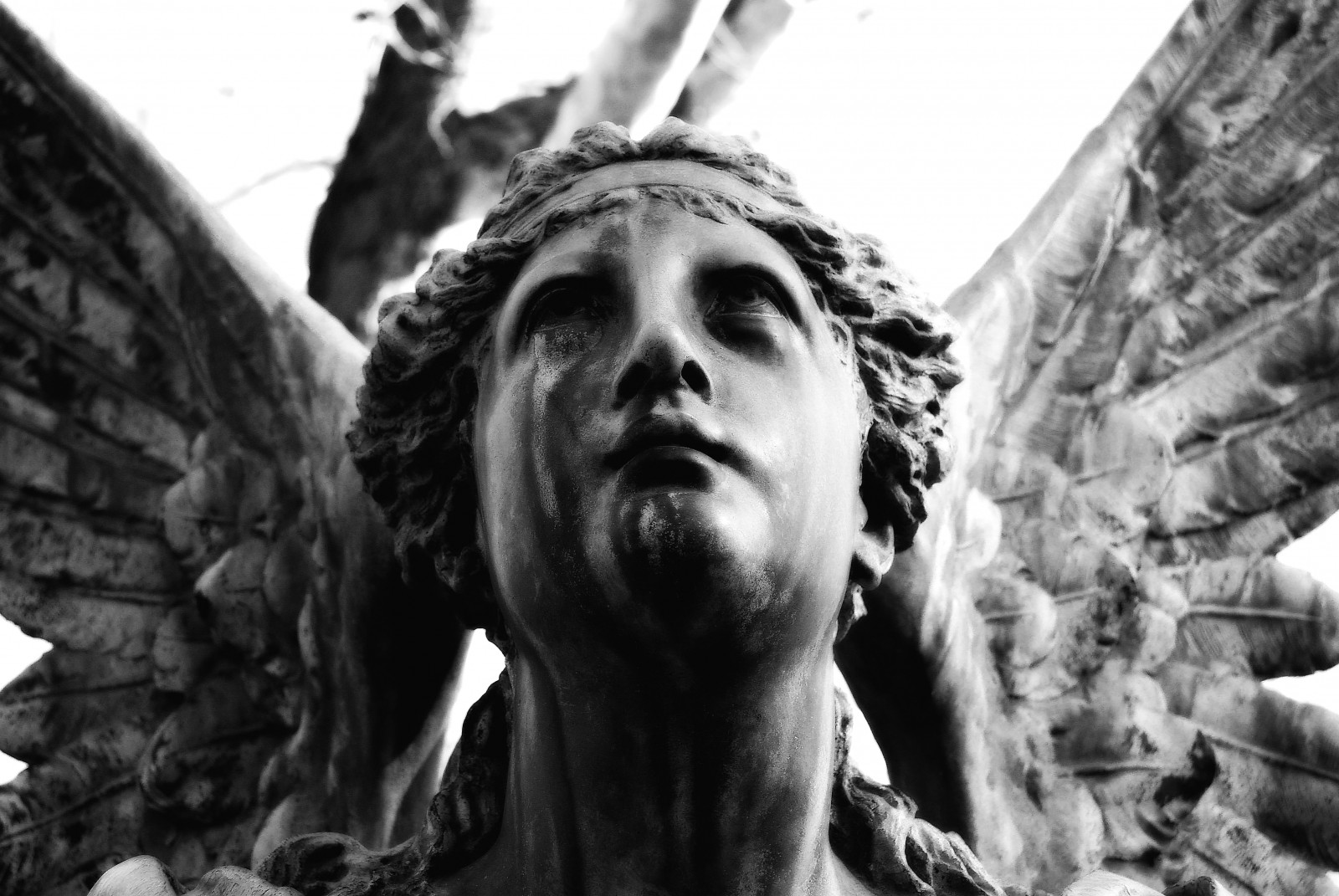 Wallpaper angel, artwork, statue, death, cemetery, spring, monument, Ohio, tree, cincinnati