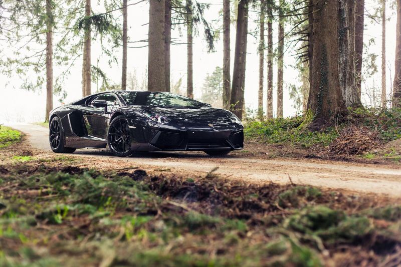 Auto, Landfahrzeug, Fahrzeug, Kraftfahrzeug, Supercar, Pflanze