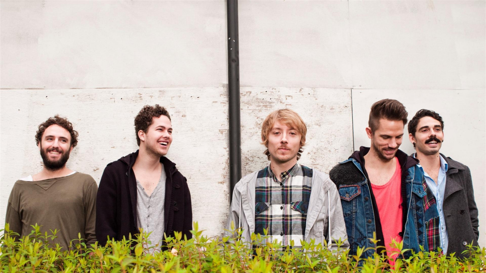 místní domorodci, kapela, usměj se, stěna, knír