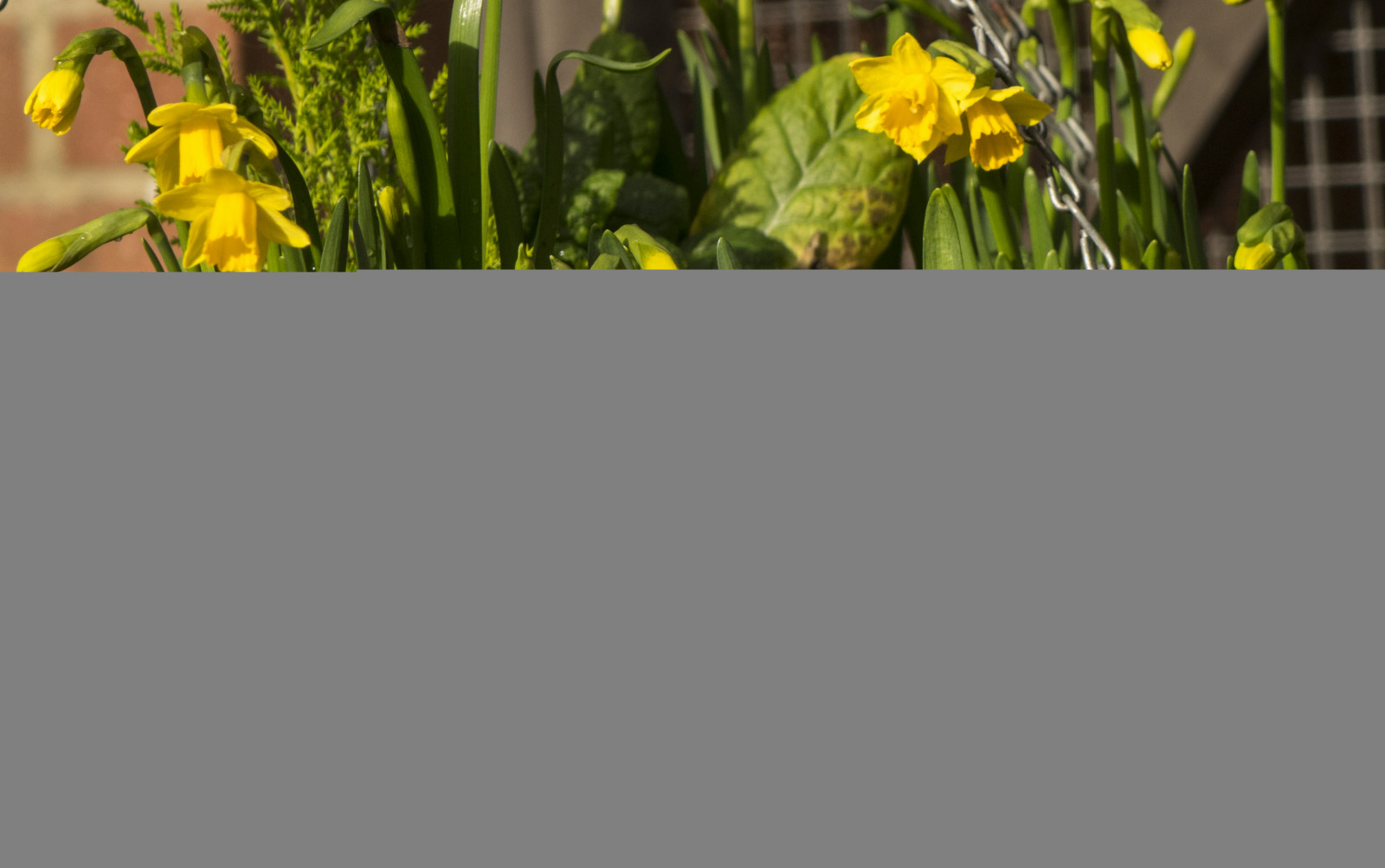 model, brýle, větev, zelená, žlutý, slunce, prsa, Hračka, panenka, měřítko, velký, list, květ, rostlina, dívka, postava, žena, flóra, Tlustý, plavat, oblek, Plus, kozy, vyrobit, džbány, velikost, Tatas, Tetas, děvče