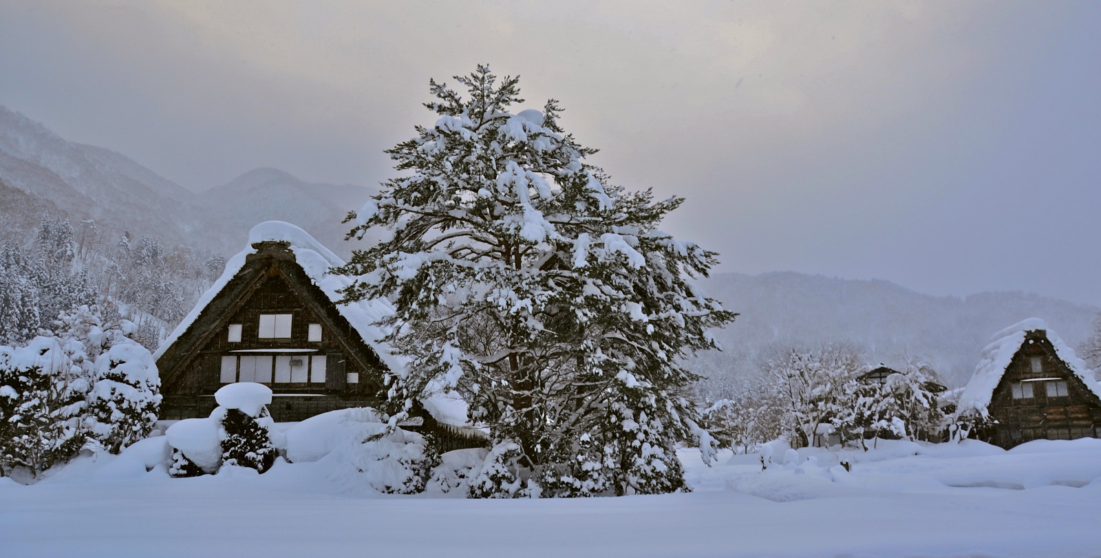 krajina, nebe, sníh, zima, větev, Dům, mráz, smrk, Vánoční strom, Nikon, chata, Vánoce, Dovolená, Alpy, jedle, zmrazení, jehličnatý strom, Evergreen, mrak, strom, flickr, hora, Vánoce, dovolená, domů, borovice, nikond3100, zimní říše divů, dřevina, horských reliéf, tewhiu, pohoří, srub, borovice rodina, ať sněží, bílé Vánoce