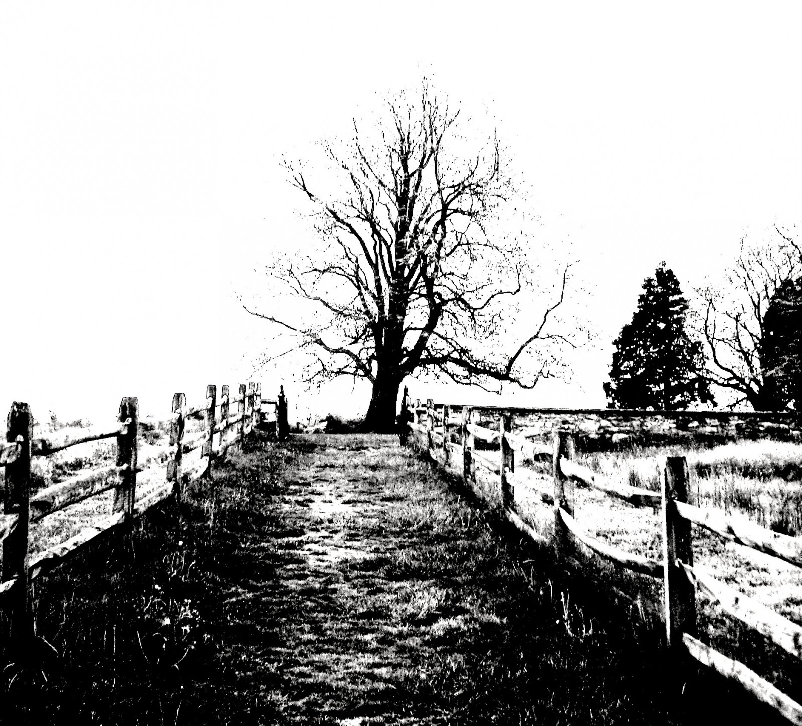 dějiny, Maryland, historický, občanská válka, Antietam, Bojiště, báječný, Sharpsburg, platinumphoto, flickrbestpics