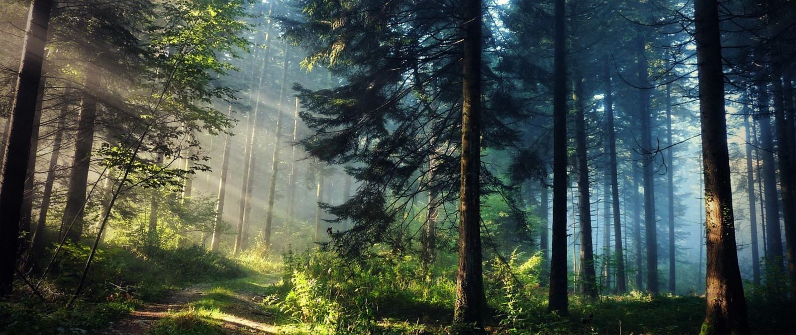 2560x1080 px, fotografia, ultra, Largo