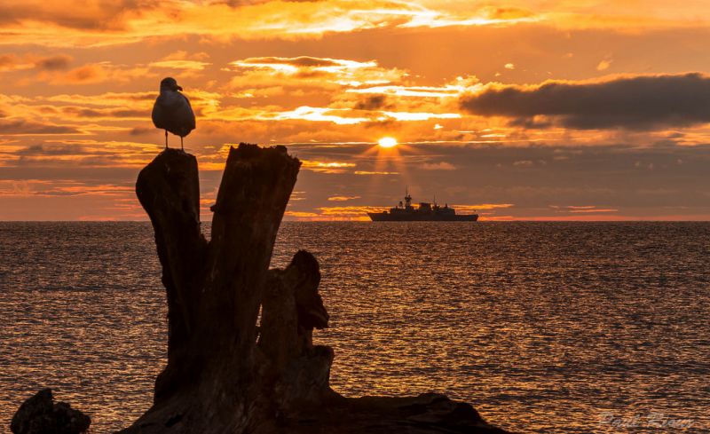 mare, Alba, cielo, orizzonte, tramonto, ultimi bagliori mare, Alba, cielo, orizzonte, tramonto, ultimi bagliori