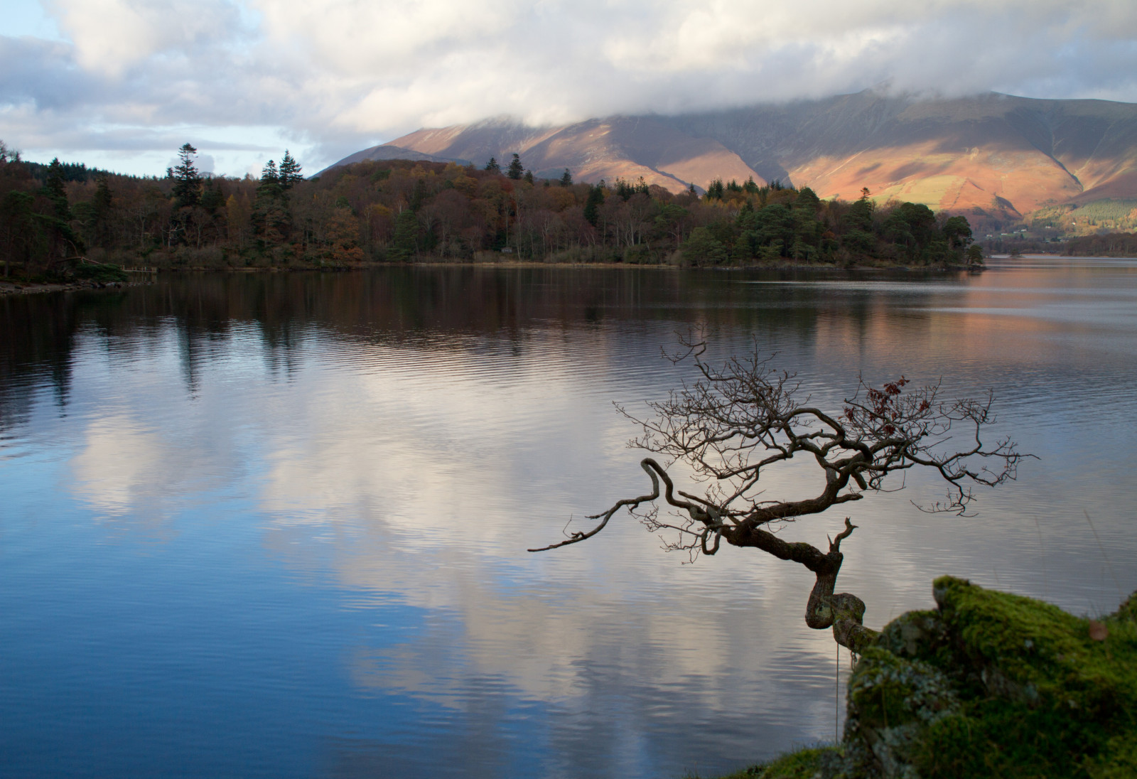 luce del sole, alberi, paesaggio, mare, lago, acqua, natura, riflessione, cielo, all'aperto, ombra, nuvole, Inghilterra, colline, sera, mattina, fiume, rocce, isola, valle, natura selvaggia, stagno, vacanza, crepuscolo, UK, novembre, a passeggio, vacanza, Serenità, Cumbria, Keswick, tranquillità, leggero, sereno, nube, albero, scenario, autunno, ombre, viaggio, montagna, alba, sagome, campagna, serbatoio, laghi, Regno Unito, distretto del Lago, in riva al lago, lago, Derwentwater, colline, fenomeno atmosferico, corpo d'acqua, Skiddaw, peacefulscene, tranquilscene, thelakes, Borrowdale, skiddawmassif, welcomeuk